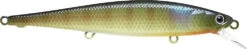 Jerk Bait - Lucky Craft - Flash Pointer 100 13 Jerk Bait - Lucky Craft - Flash Pointer 100 -Fishing Discount Store BE Gill 1000x197 0b7881f5 4d40 4222 957f 3bbe69ae1fa9