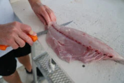 Fillet Knife - Dexter - UC133-8WS1 8 INCH UR-CUT® MOLDABLE HANDLE FILLET KNIFE WITH SHEATH -Fishing Discount Store DSC07098 45879