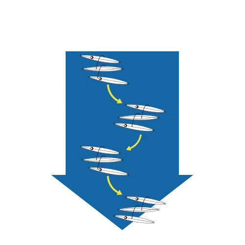 Jig - Hearty Rise - SITENKIBA III 5 Jig - Hearty Rise - SITENKIBA III - Image 3