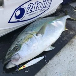 Jigging Hook - Vanfook - Jigen Grippy JH-40 11 Jigging Hook - Vanfook - Jigen Grippy JH-40 -Fishing Discount Store JH 40 f1 640x640 1