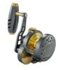 Slow Pitch Jigging Reel - Maxel - Rage 80L -Fishing Discount Store R60H 690c0431 3c98 438f 8240 356c6674d559