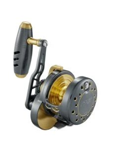 Slow Pitch Jigging Reel - Maxel - Rage 60HL