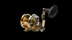 Bait Casting Reel - AVET - SXJ5.3 G2 WITH GLIDE PLATE -Fishing Discount Store SXJ5.3 G2 FRONT GOLD 2