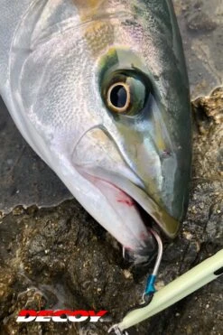 Jigging Single Hook - Decoy - Pike AS-03 -Fishing Discount Store as 03 06fish