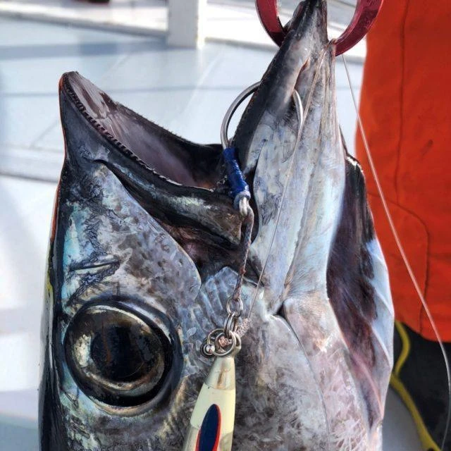 Assist Hook - Vanfook - GS-70 JIGEN 4 BRAIDS ASSIST GRIPPY 5 Assist Hook - Vanfook - GS-70 JIGEN 4 BRAIDS ASSIST GRIPPY - Image 3