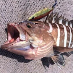 Assist Hook - Vanfook - JLT-46 JIGEN LONG TWIN -Fishing Discount Store assist hook vanfook jlt 46 jigen long twin 406550