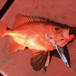 Assist Hook - Vanfook - JLT-46 JIGEN LONG TWIN -Fishing Discount Store assist hook vanfook jlt 46 jigen long twin 910730