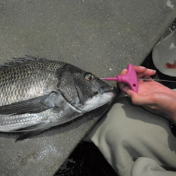 Fish Spike - Lumica - Ikijime Shank A Medium 6 Fish Spike - Lumica - Ikijime Shank A Medium - Image 4