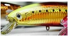 Floating Minnow - Daiwa - Saltiga SP Minnow 13F