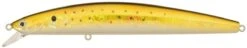 Floating Minnow - Daiwa - Saltiga SP Minnow 15F -Fishing Discount Store floating daiwa saltiga sp minnow 15f 829617