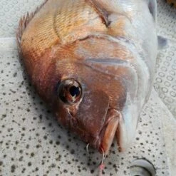 Hook - Vanfook - SW-04 SWIFTER SUPER LIGHT JIGGING -Fishing Discount Store hook vanfook sw 04 swifter super light jigging 204449