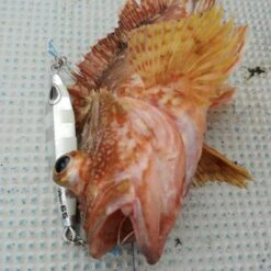 Hook - Vanfook - SW-04 SWIFTER SUPER LIGHT JIGGING -Fishing Discount Store hook vanfook sw 04 swifter super light jigging 636054