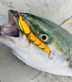 Jointed Swimming Jig - On The Blue - Super Light Jigggy Jr 60g -Fishing Discount Store img 7256