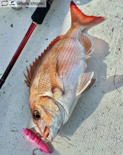 Jointed Swimming Jig - On The Blue - Super Light Jigggy Jr 60g -Fishing Discount Store img 7268