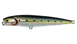 Pencil Lure - Daiwa -Saltiga Dorado Pencil 140mm Floating 14 Pencil Lure - Daiwa -Saltiga Dorado Pencil 140mm Floating -Fishing Discount Store pencil lure daiwa saltiga dorado pencil 140mm floating 696786