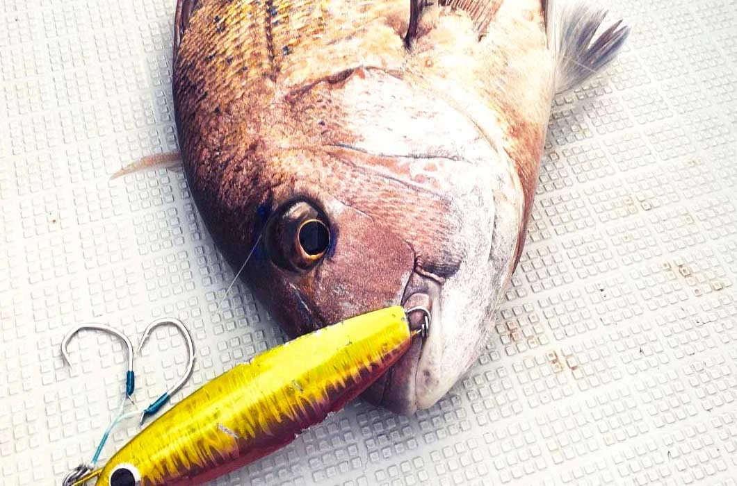 Jig - Hot's - R2 Jig 13 Jig - Hot's - R2 Jig - Image 11