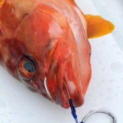 Shrink Tube - Vanfook - B-ST Blue Shrink Tube -Fishing Discount Store shrink tube vanfook b st blue shrink tube 346794