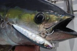 Stickbait - CB ONE - Ryan 180mm