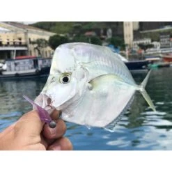 Unrigged Shrimp - Big Ones - Ultra Light Kit -Fishing Discount Store unrigged shrimp big ones ultra light kit 828259