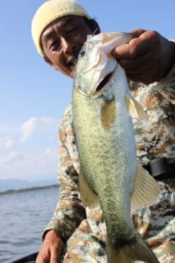 Warm Hook - Decoy - HD Hook Offset Worm 117 -Fishing Discount Store warm hook decoy hd hook offset worm 117 904351